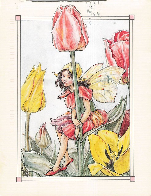 Flower Fairies - The Tulip Fairy, Cicely Mary Barker