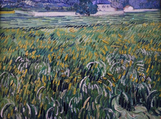 9 - Paris - Musée d'Orsay - Van Gogh à Auvers-sur-Oise, les derniers mois - Maison à Auvers-sur-Oise, Huile sur toile, Vers le 11 juin 1890