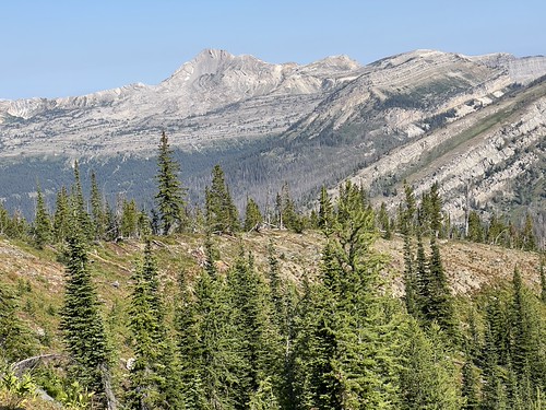 View from the Larch Hill Trail, 