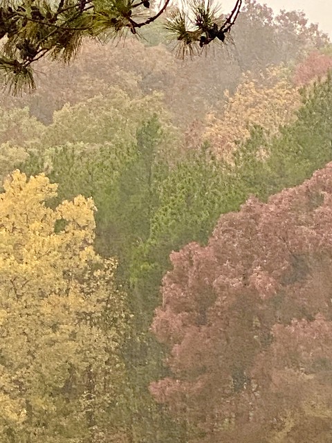 Autumn at Chestnut Mountain