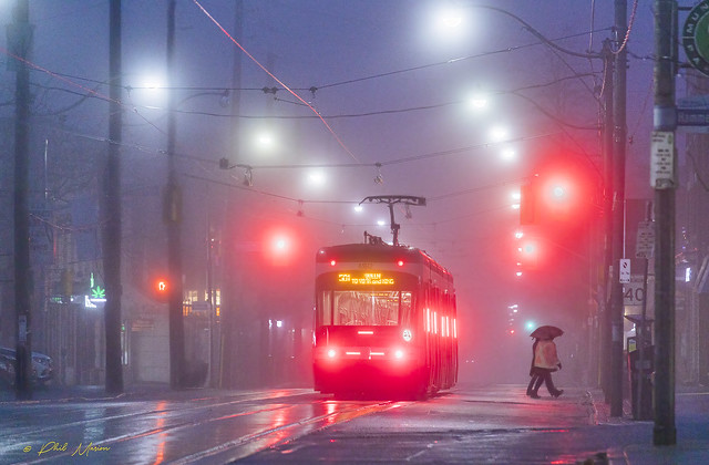 Queen St streetcar in the predawn fog - Beaches, Toronto