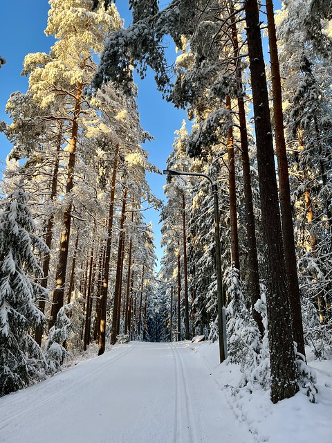 XC skiing in Kangasala, Finland