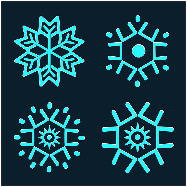 snowflakes vector set decoration free download