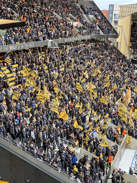 Old Gold Pack flags in the North Bank