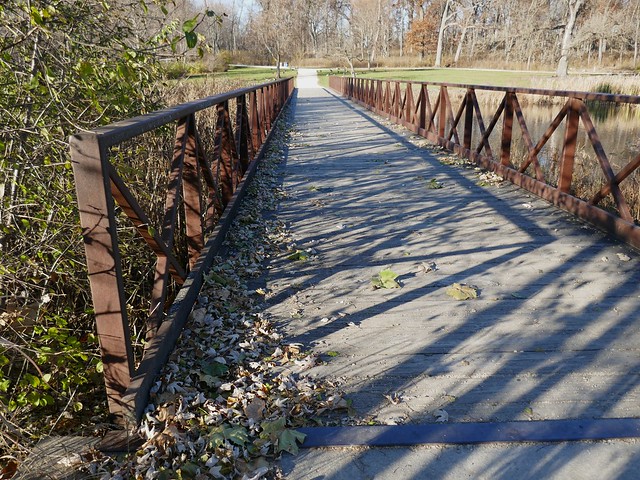 Glen Ellyn, IL, Churchill Woods Forest Preserve, Bridge with Shadows