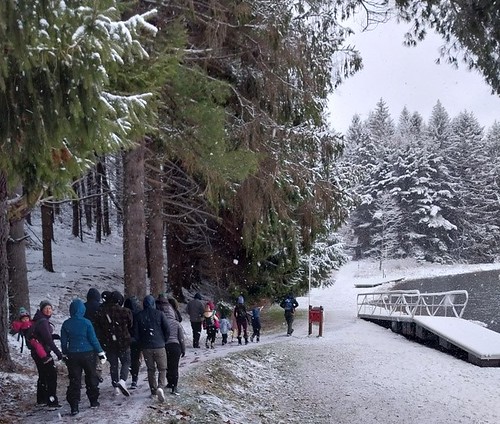 Photo of hikers in a snowy forest next to a lake
