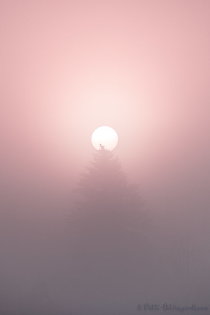 Pink Sunrise in the Mist