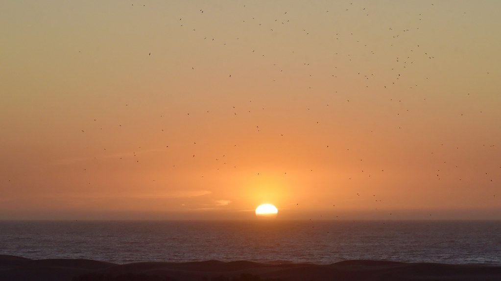 Sonnenuntergang am Atlantik in Agadir; Marokko (514d)
