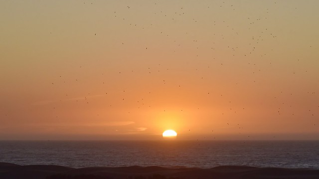Sonnenuntergang am Atlantik in Agadir; Marokko (514d)
