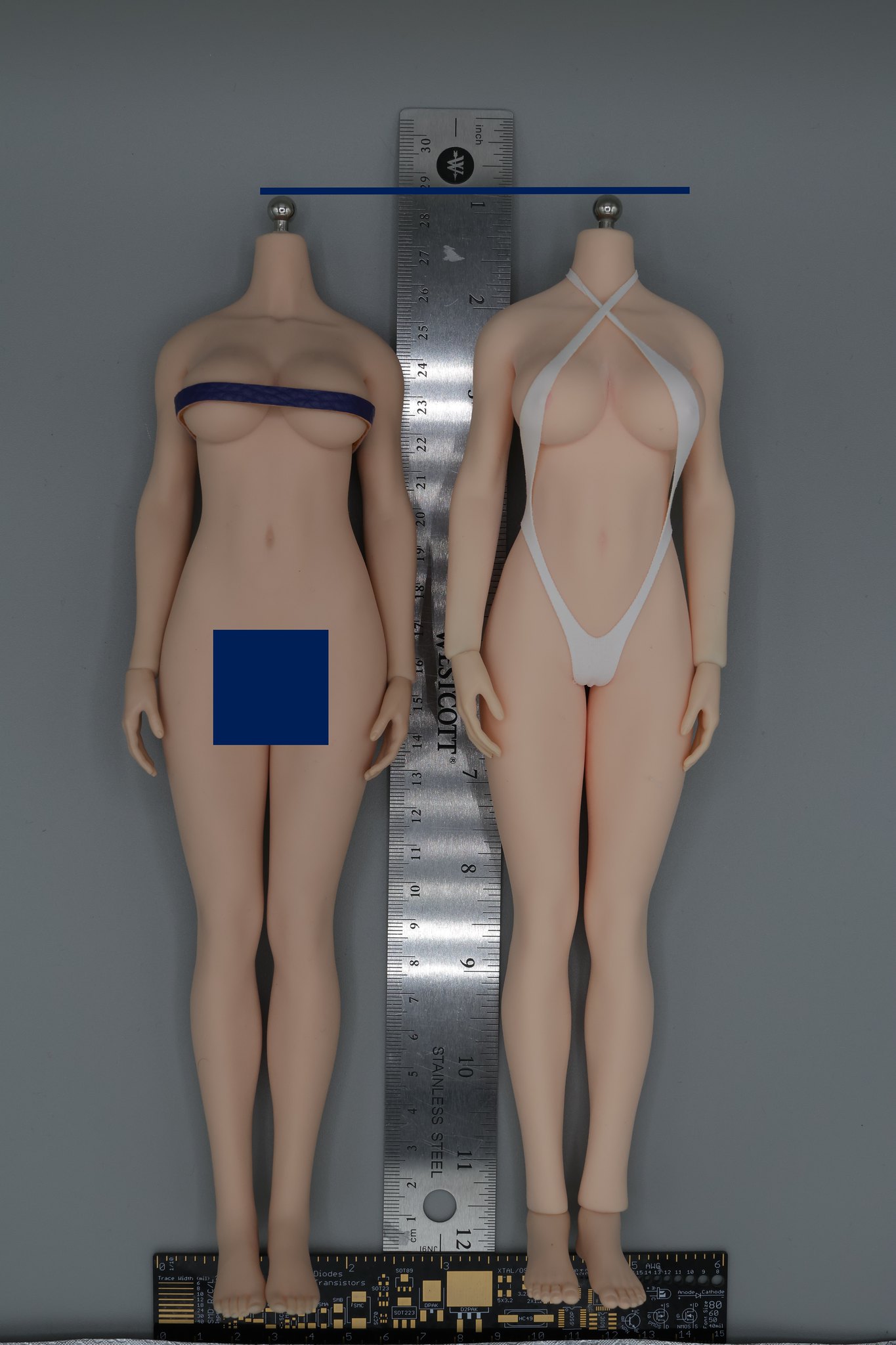 body - TBLeague / Phicen Seamless Bodies with Steel Skeleton Catalog (updated continually) - Page 8 53438304455_2dac0a117c_k