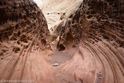An interesting section of Little Wildhorse Canyon, San Rafael Swell, Utah