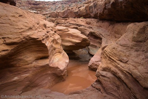 The puddle below the first dryfall, which is actually a multi-drop that appears too slick and steep to climb.  Little Wildhorse Canyon, San Rafael Swell, Utah