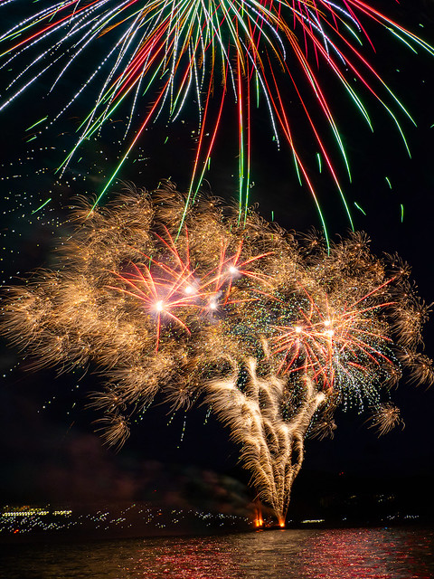 New Year's Eve firework display 2023-310960
