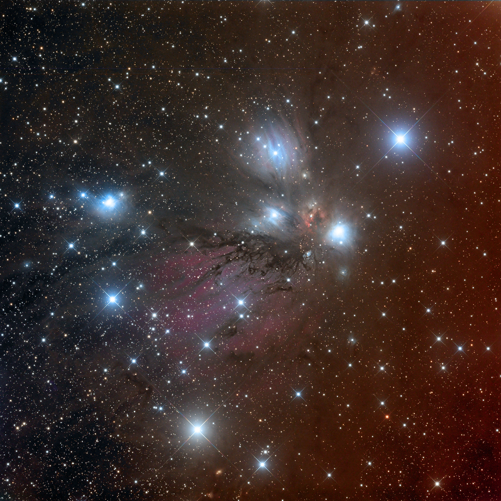 NGC 2170 - LRGB