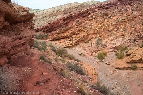 Looking down on the junction of Bell Canyon (left) and Little Wildhorse Canyon (right) - can you see the sign?  San Rafael Swell, Utah