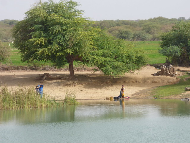 Fleuve Sénégal - Croisière sur le Bou el Mogdad