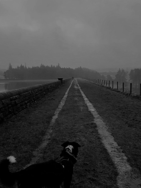 Misty this afternoon at Hurstwood reservoir