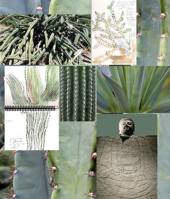grey green mood panel focussing mostly on cactus and succulents
