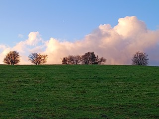UK - Herefordshire - Near Bradnor Green - Sunset