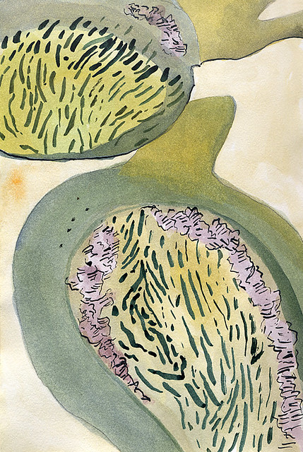 watercolour sketch in a sketchbook of seaweed in tide pools at in the strange rock formations at Botanical Beach on Vancouver Island, Canada