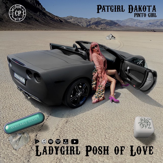 Patgirl Dakota  .  