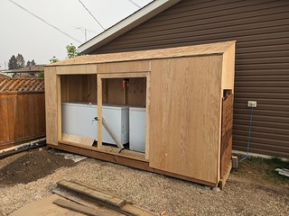 New Leanto shed progress PXL_20230521_001643065