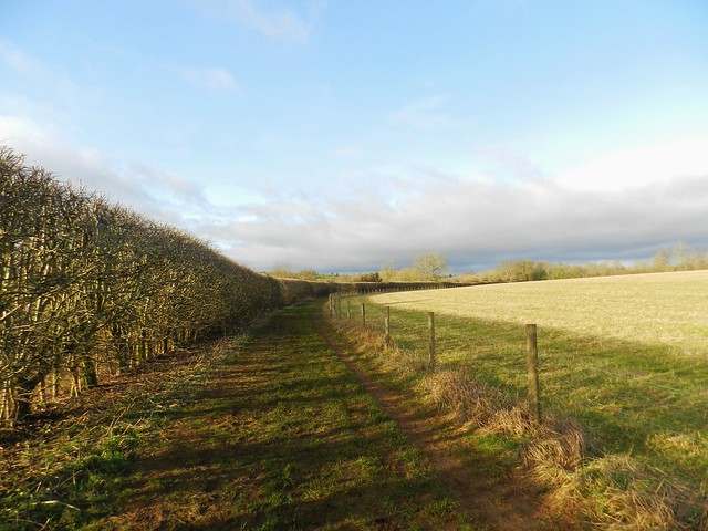 Muddy Path, Walk from Bourton on the Water to Upper Slaughter, Dec 2023