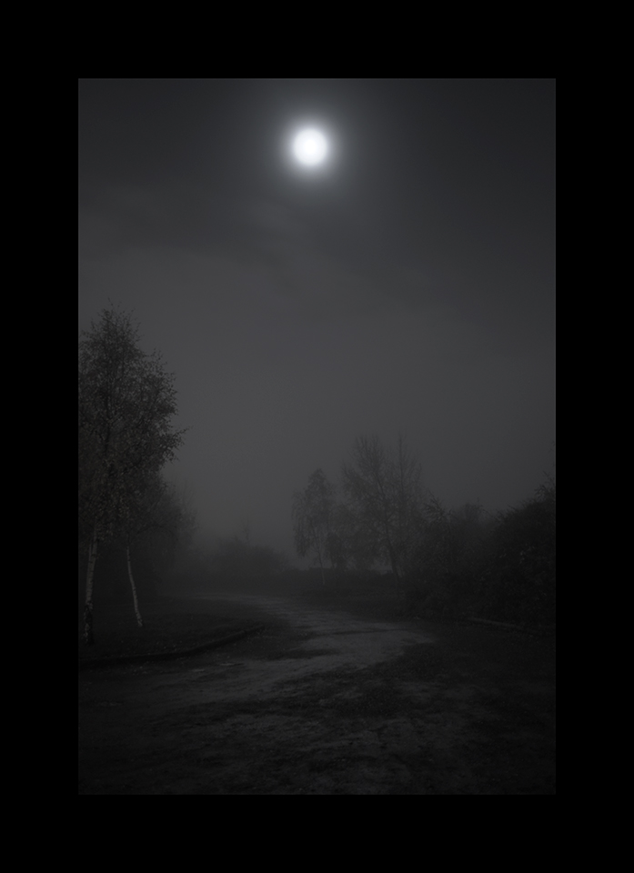 Night Fog by Nicholas M Vivian