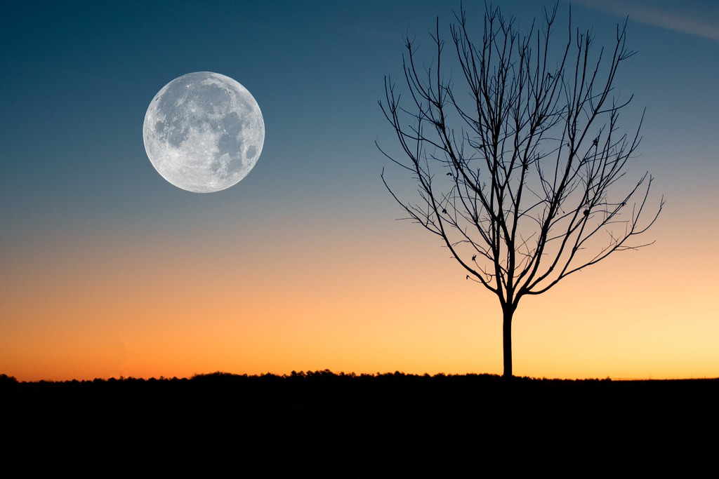 近年來，國際間再度掀起一波登月熱潮。照片來源：David Besh／Pexels