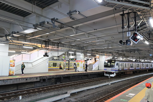 e217series train railroad chiba station japan