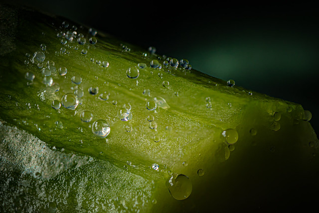 Drops on a cucumber