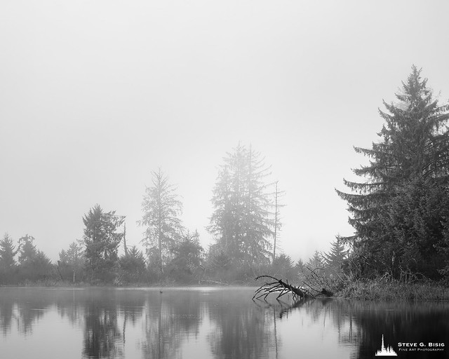 Foggy Dawn Silence, Willapa River, Washington, 2023