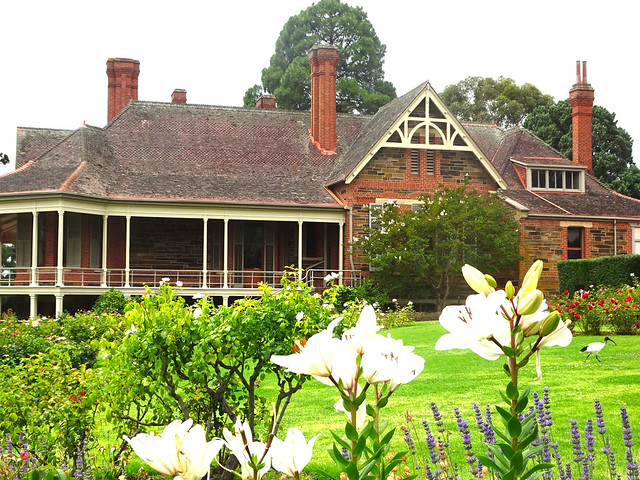 Urrbrae Adelaide. White lilies and Ibis at Waite House. Buil;t in 1891. Now part of the University of Adelaide.