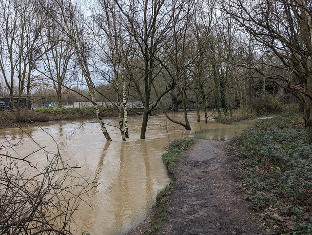 The River Roding in flood at the confluence of the Chigwell Brook.