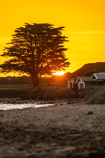Campbell Cove Sunset 1