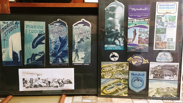 Collection of Marineland of Florida brochures