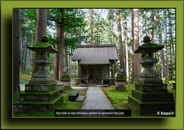Japon, HIYO KOKE NO SATO Le jardin de mousses du temple Nata-dera