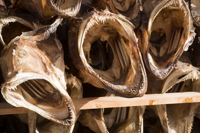 Dried cod fish heads