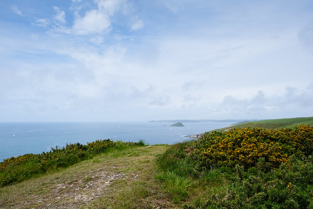 South West Coast Path, Devon