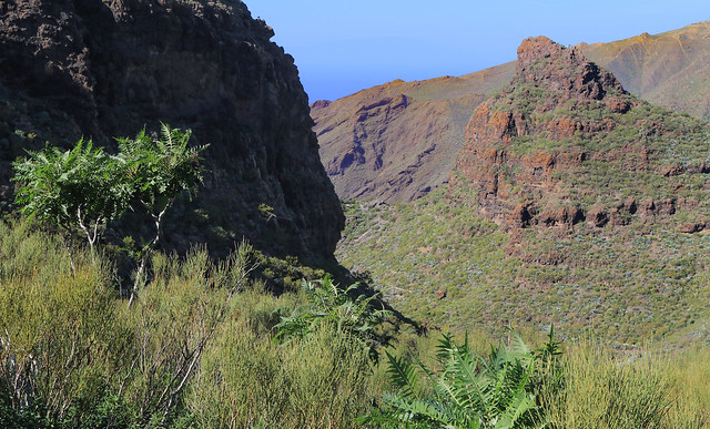 Landscape near Masca, Tenerife
