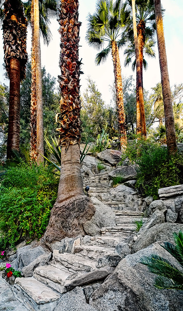 photo - Stony Stairway, The Willows Inn, Palm Springs