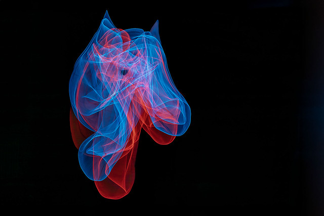 Light painted horse