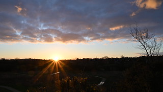 Sunrise over Ashridge Meadows - Sunday 7th January 2024  at  08:19:38 (HDR)