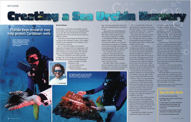 Florida Currents Magazine Article on Florida Keys Sea Urchin Nursery