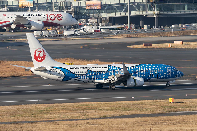 JA05RK / Japan Transocean Air / Boeing 737-8Q3