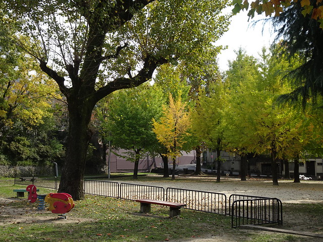 Autumn Trees in Playground