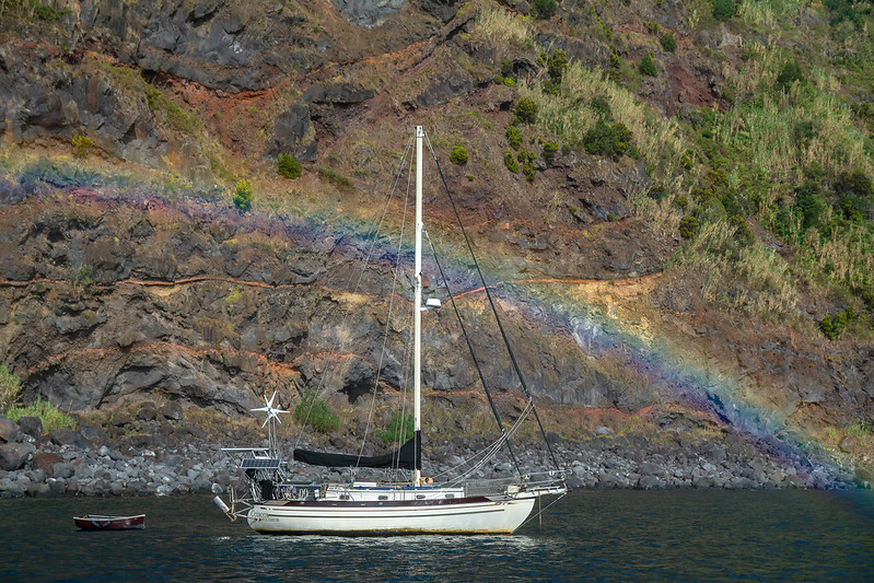 Cetacea caught in a rainbow by the crew of S/Y Twoflowers
