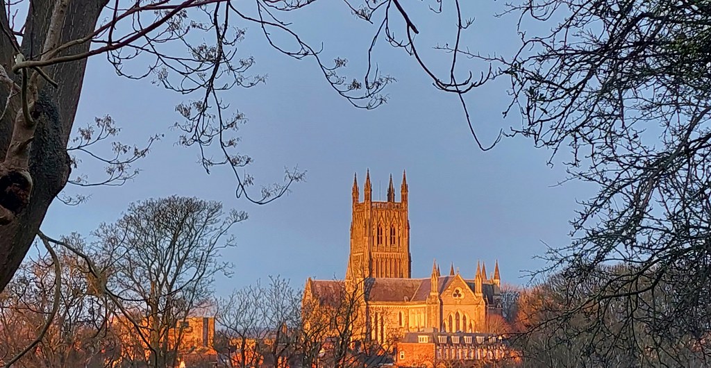 Worcester Cathedral with Branches