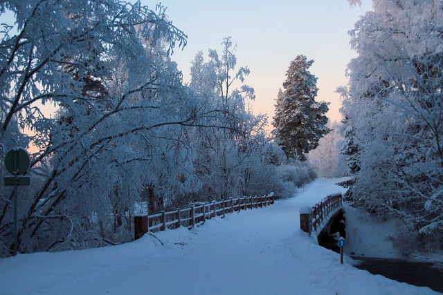 Winter bridge view