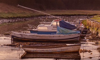 Early Morning Boats